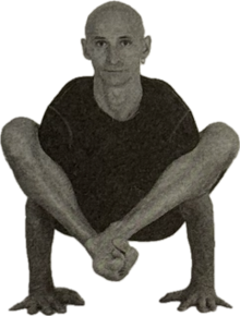 Бхуджапидасана